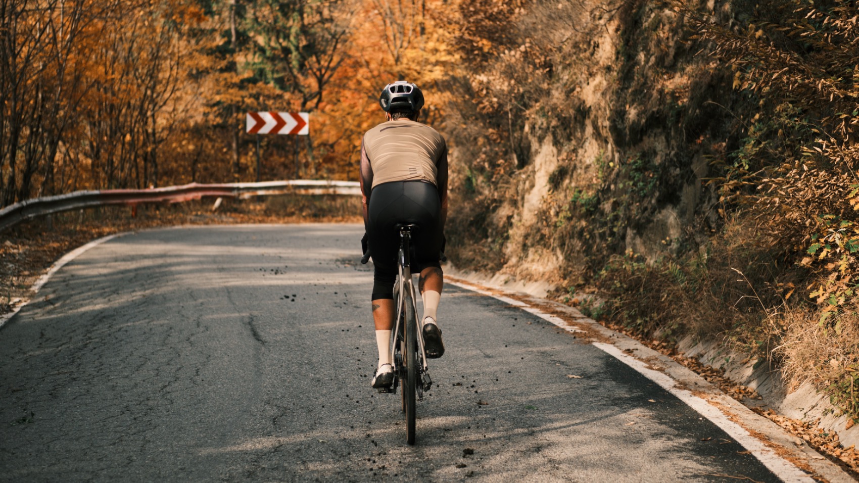 Como escolher um seguro de bicicleta?