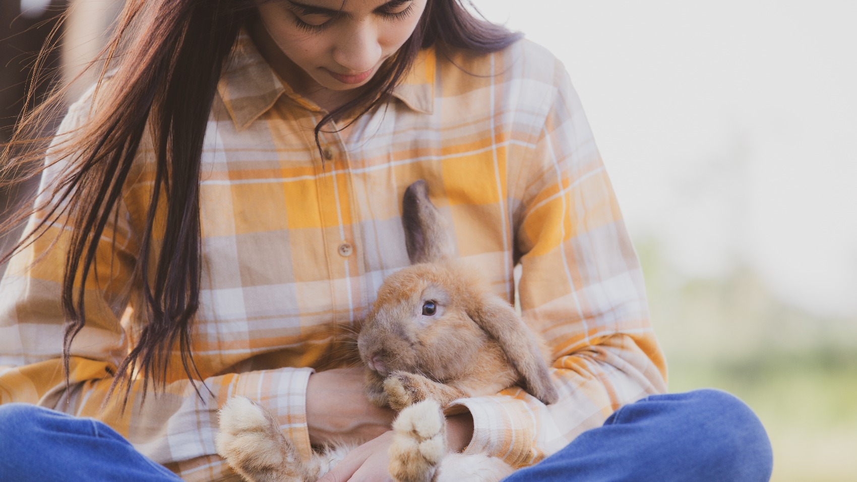 Seguro para Animais - Outros Animais de Estimação