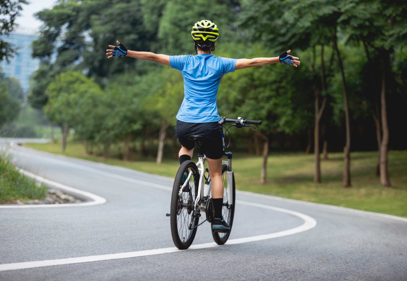 Seguros de bicicletas