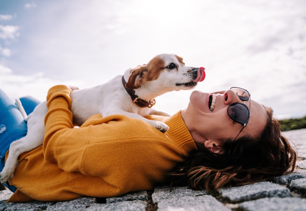 Seguro para Cães: Proteja o seu Fiel Companheiro